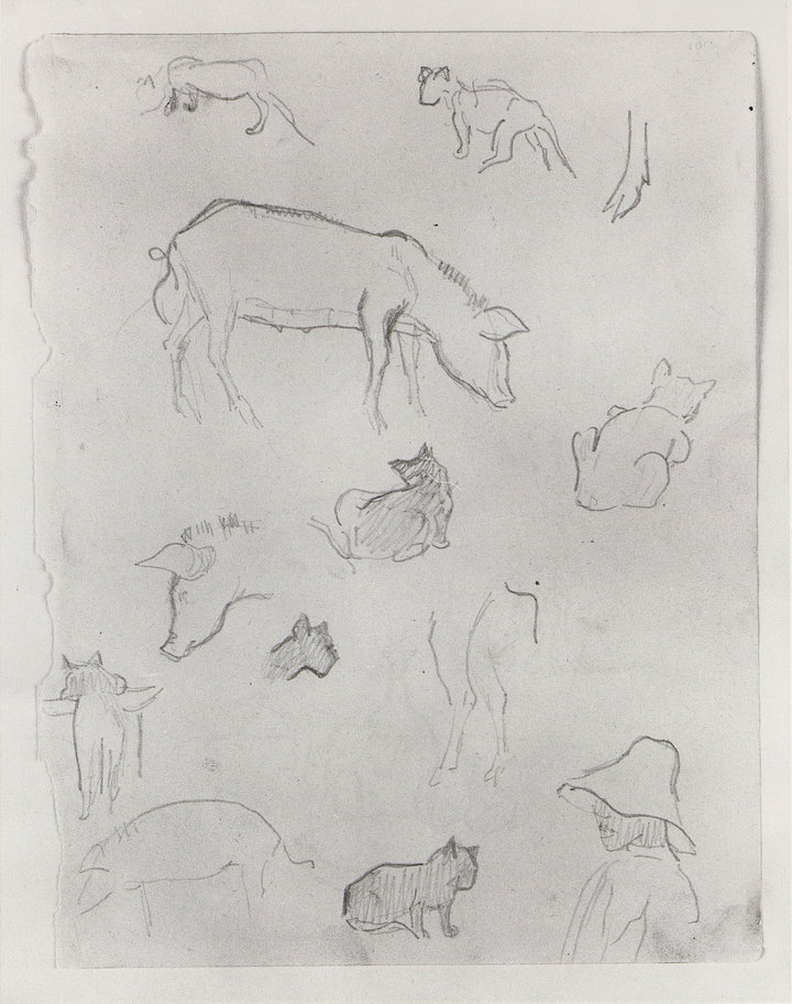 Paul Gauguin, Various Sketches of Pigs, Cats and a Hatted Man, 1887, pencil on paper, 18.9 × 14.6 cm, Collection Dr Axel and Georgia Franz, Germany