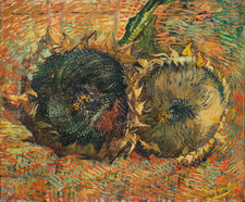 Vincent van Gogh, Sunflowers, 1887, oil on canvas, 50 × 60.7 cm, Kunstmuseum Bern, Gift of Prof. Dr. Hans R. Hahnloser, Bern, 1971 Photo: Kunstmuseum Bern
